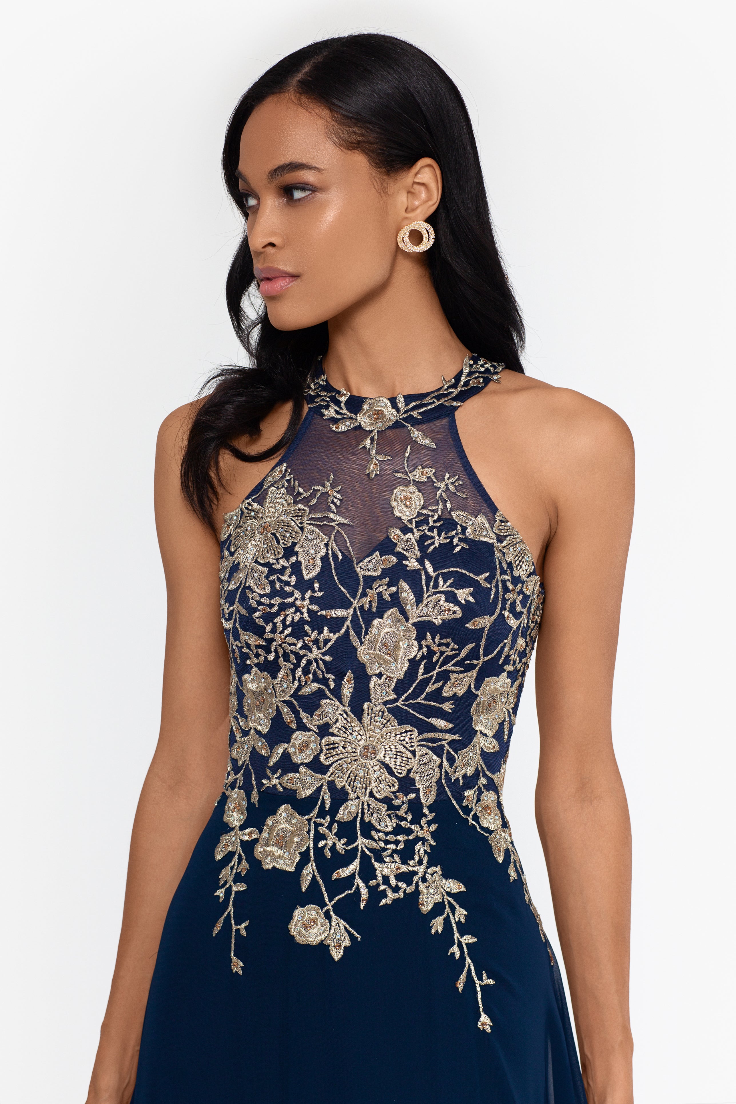 "Celeste" Long Embroidered Chiffon Gown